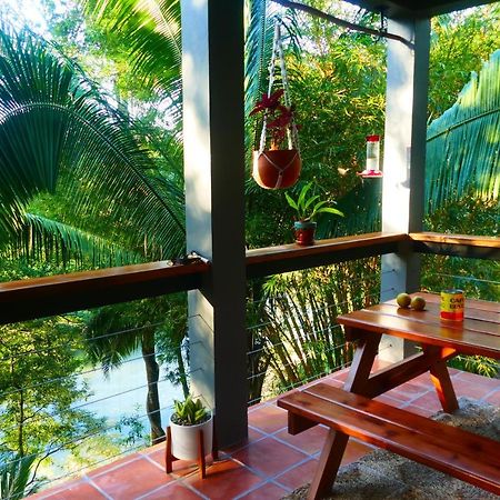 Riverhill Hideaway Monkey Fall المظهر الخارجي الصورة
