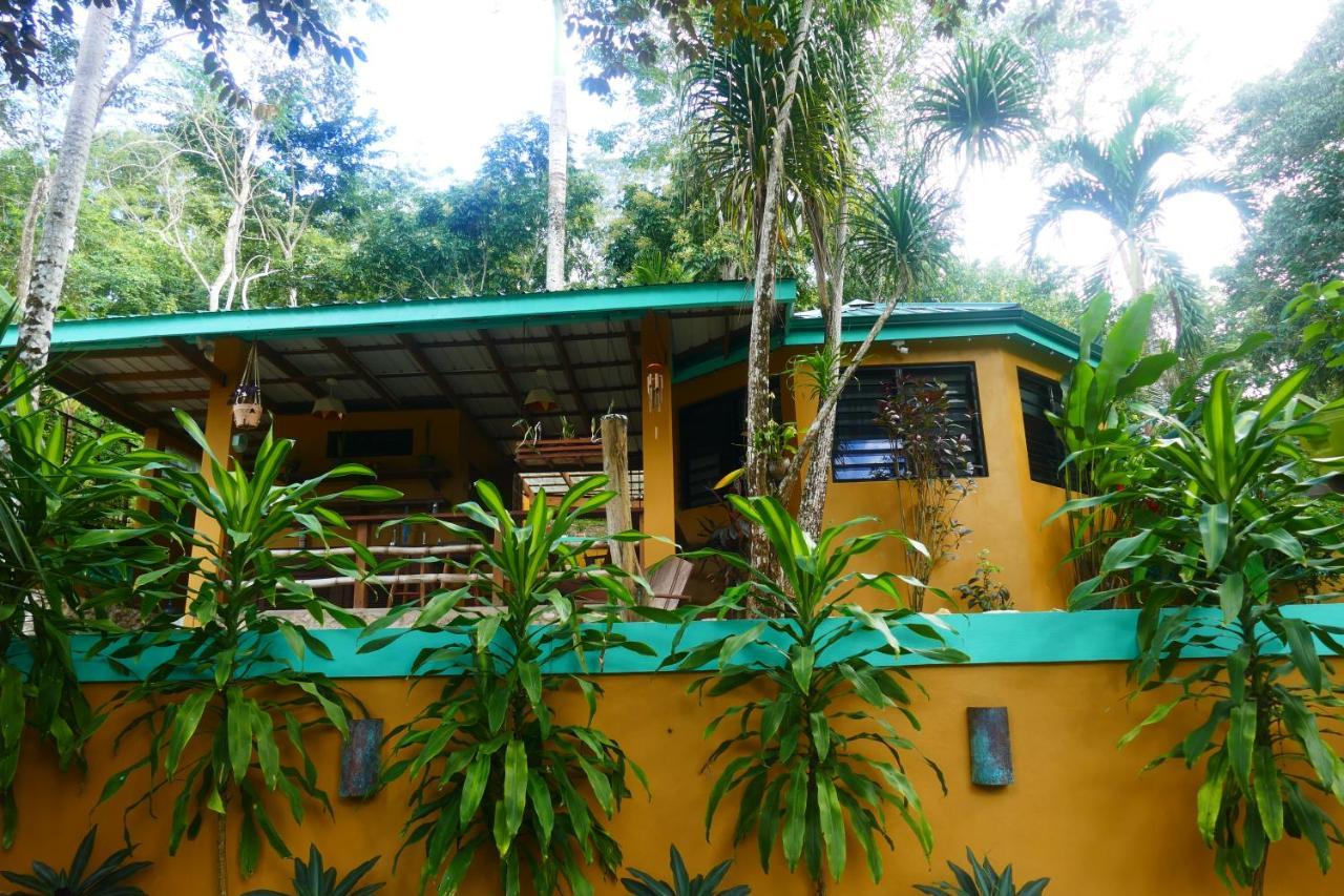 Riverhill Hideaway Monkey Fall المظهر الخارجي الصورة