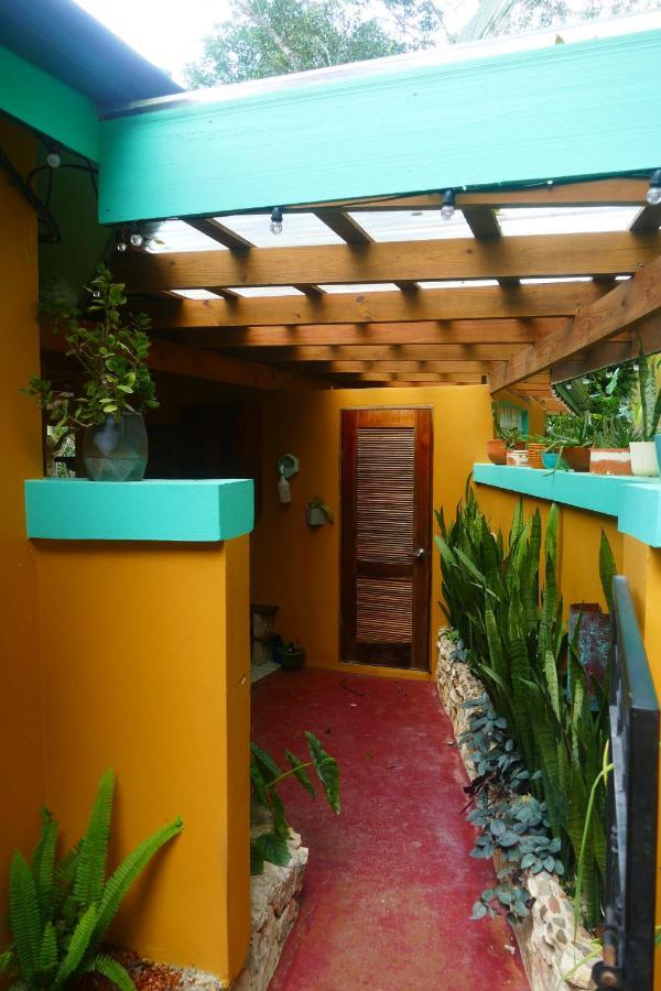 Riverhill Hideaway Monkey Fall المظهر الخارجي الصورة