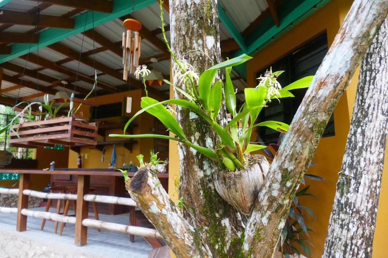 Riverhill Hideaway Monkey Fall المظهر الخارجي الصورة