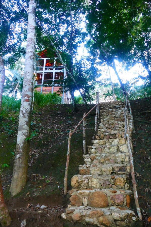 Riverhill Hideaway Monkey Fall المظهر الخارجي الصورة