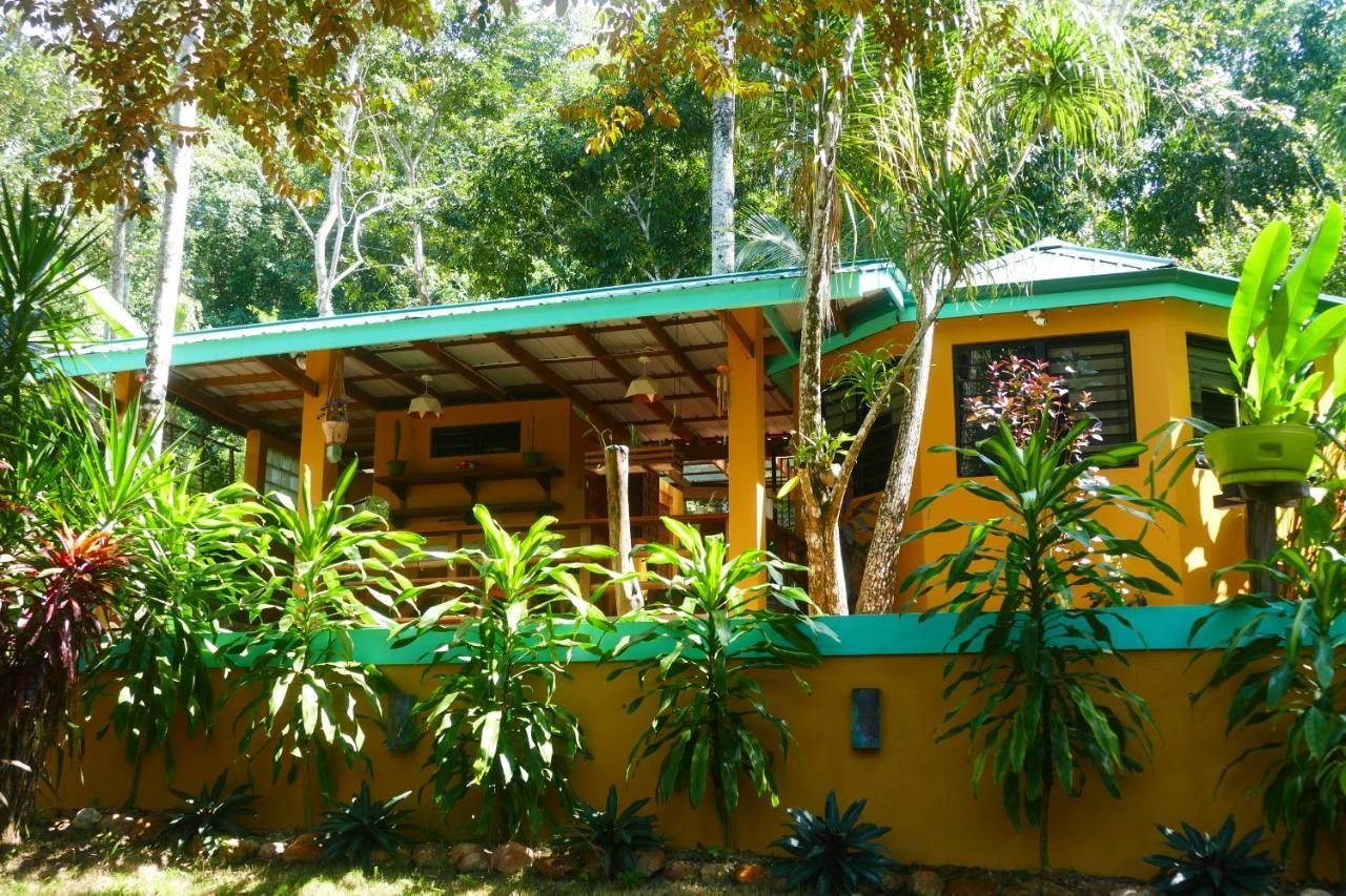 Riverhill Hideaway Monkey Fall المظهر الخارجي الصورة