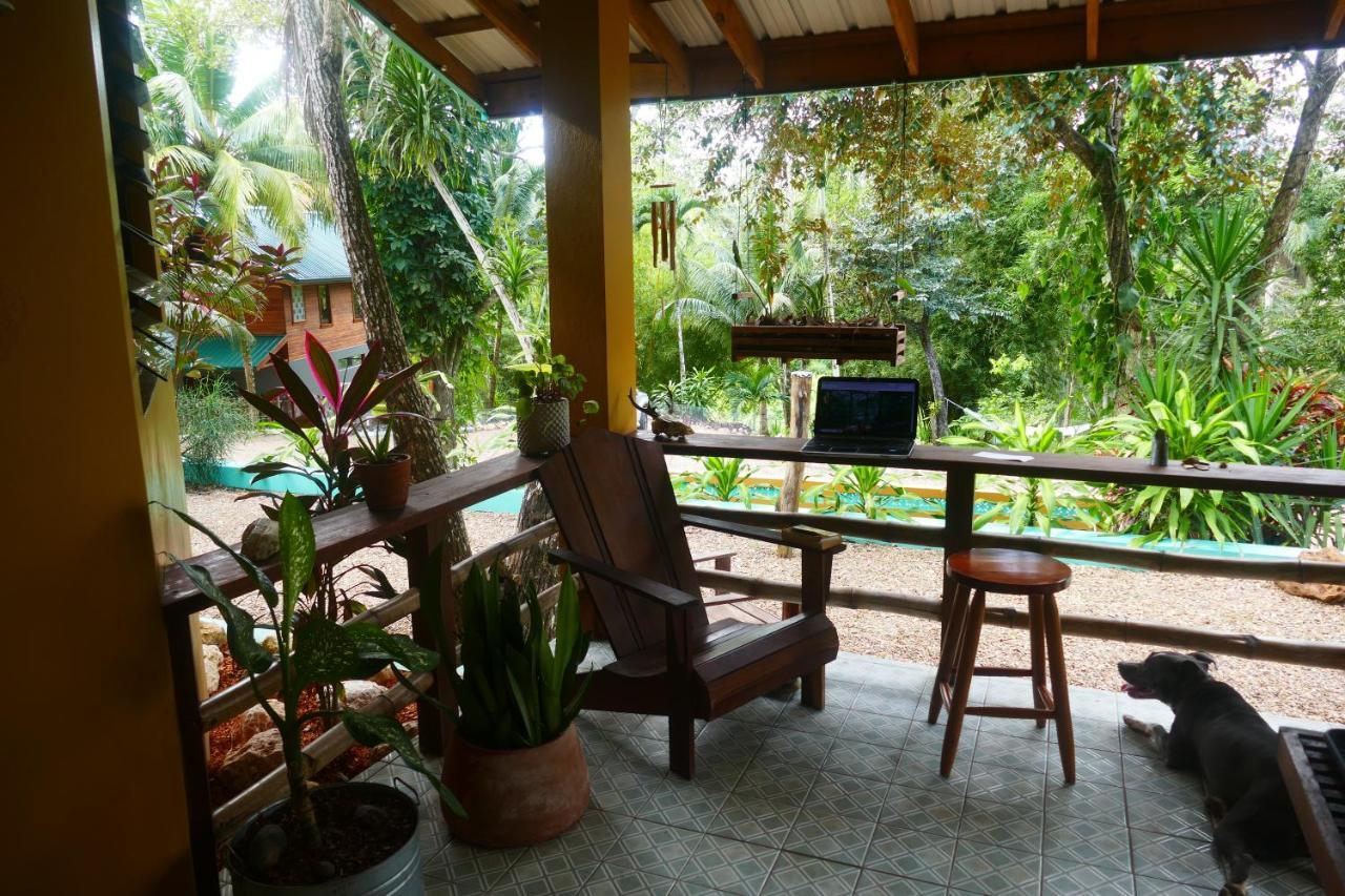 Riverhill Hideaway Monkey Fall المظهر الخارجي الصورة