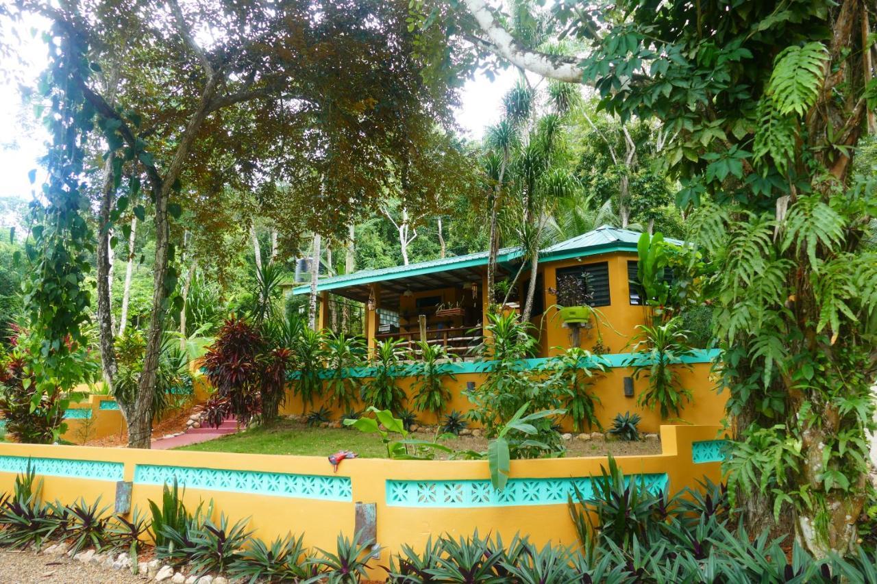 Riverhill Hideaway Monkey Fall المظهر الخارجي الصورة