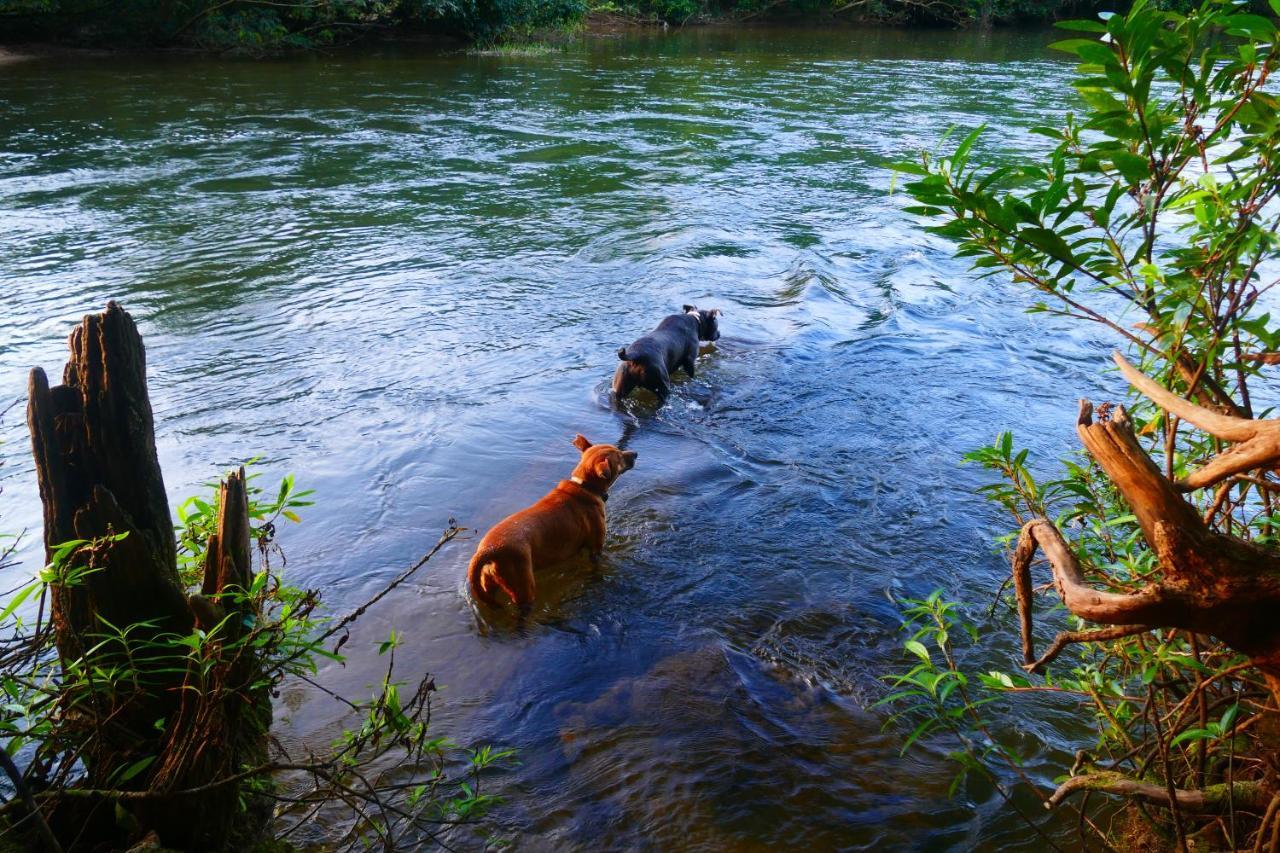 Riverhill Hideaway Monkey Fall المظهر الخارجي الصورة