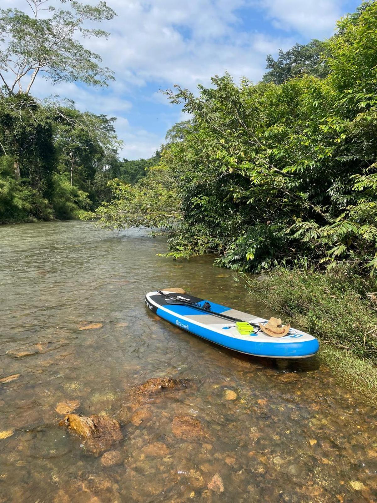 Riverhill Hideaway Monkey Fall المظهر الخارجي الصورة